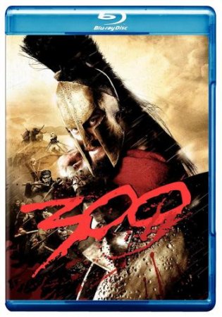 300  (2006)